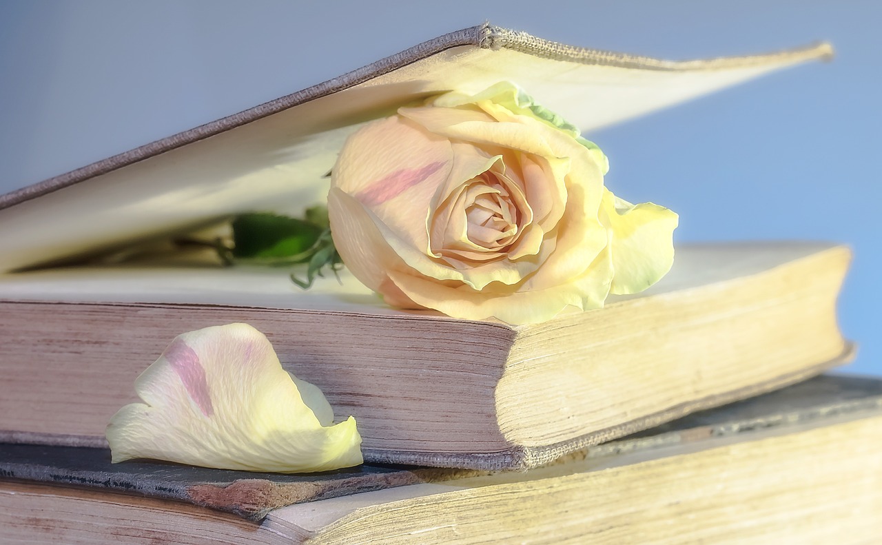Ideas for Upcycling Old Books
